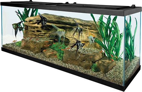 55 gallon fish tank|Amazon.com: 55 Gallon Fish Tank.